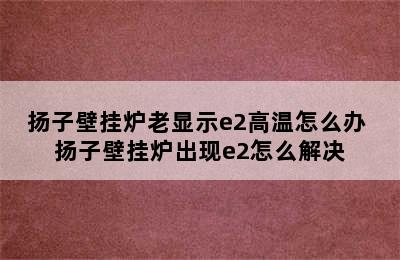 扬子壁挂炉老显示e2高温怎么办 扬子壁挂炉出现e2怎么解决